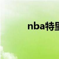 nba特里（关于nba特里的介绍）