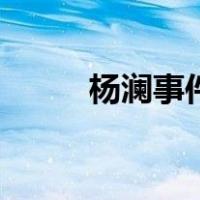 杨澜事件（关于杨澜事件的介绍）