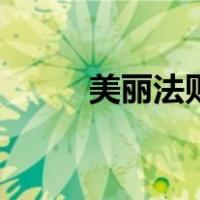 美丽法则（关于美丽法则的介绍）