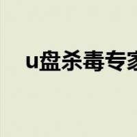 u盘杀毒专家（关于u盘杀毒专家的介绍）