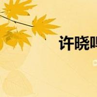 许晓鸣（关于许晓鸣的介绍）