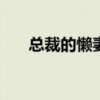 总裁的懒妻（关于总裁的懒妻的介绍）