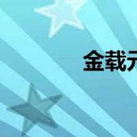 金载元（关于金载元的介绍）