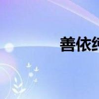 善依纯（关于善依纯的介绍）