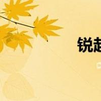 锐起（关于锐起的介绍）