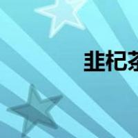 韭杞茶（关于韭杞茶的介绍）