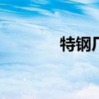 特钢厂（关于特钢厂的介绍）