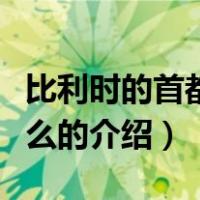 比利时的首都是什么（关于比利时的首都是什么的介绍）