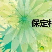 保定村（关于保定村的介绍）
