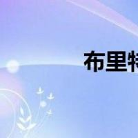 布里特（关于布里特的介绍）