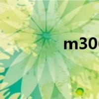 m306（关于m306的介绍）