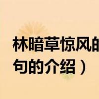林暗草惊风的下一句（关于林暗草惊风的下一句的介绍）