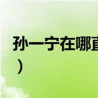 孙一宁在哪直播（关于孙一宁在哪直播的介绍）