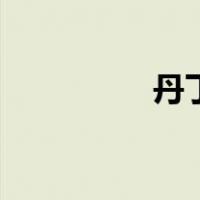 丹丁（关于丹丁的介绍）
