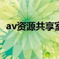 av资源共享室（关于av资源共享室的介绍）