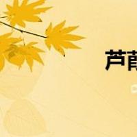 芦葭（关于芦葭的介绍）