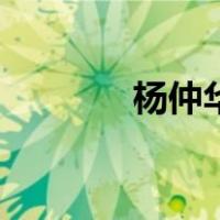 杨仲华（关于杨仲华的介绍）