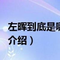 左晖到底是哪里人（关于左晖到底是哪里人的介绍）