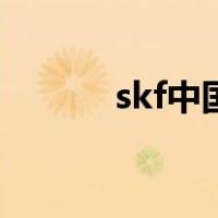 skf中国（关于skf中国的介绍）