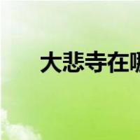大悲寺在哪（关于大悲寺在哪的介绍）