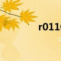r0110（关于r0110的介绍）
