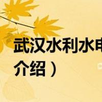 武汉水利水电学院（关于武汉水利水电学院的介绍）