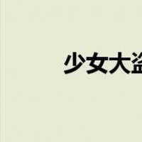 少女大盗（关于少女大盗的介绍）
