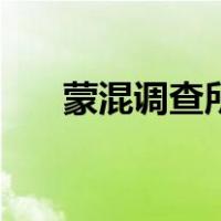 蒙混调查所（关于蒙混调查所的介绍）