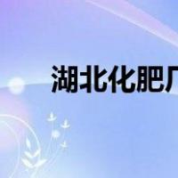 湖北化肥厂（关于湖北化肥厂的介绍）