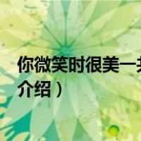 你微笑时很美一共多少集（关于你微笑时很美一共多少集的介绍）