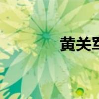 黄关军（关于黄关军的介绍）