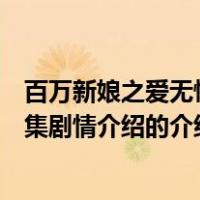百万新娘之爱无悔分集剧情介绍（关于百万新娘之爱无悔分集剧情介绍的介绍）