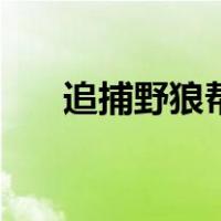 追捕野狼帮（关于追捕野狼帮的介绍）