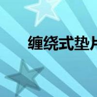 缠绕式垫片（关于缠绕式垫片的介绍）