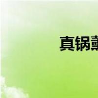 真锅薰（关于真锅薰的介绍）