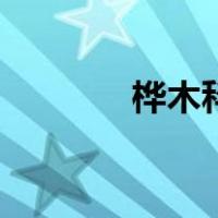 桦木科（关于桦木科的介绍）