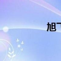 旭飞（关于旭飞的介绍）