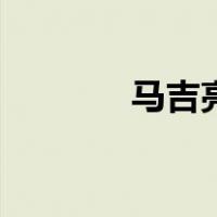马吉亮（关于马吉亮的介绍）