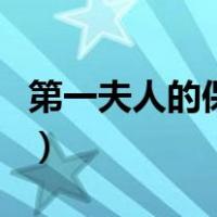 第一夫人的保镖（关于第一夫人的保镖的介绍）