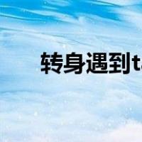转身遇到ta（关于转身遇到ta的介绍）