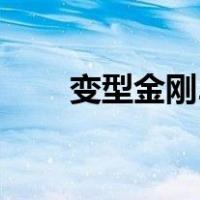 变型金刚2（关于变型金刚2的介绍）