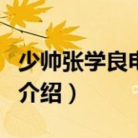 少帅张学良电视剧（关于少帅张学良电视剧的介绍）