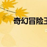 奇幻冒险王（关于奇幻冒险王的介绍）