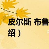 皮尔斯 布鲁斯南（关于皮尔斯 布鲁斯南的介绍）