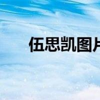 伍思凯图片（关于伍思凯图片的介绍）