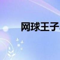 网球王子3（关于网球王子3的介绍）