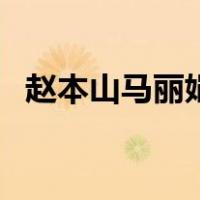赵本山马丽娟（关于赵本山马丽娟的介绍）