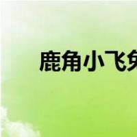 鹿角小飞兔（关于鹿角小飞兔的介绍）
