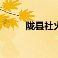 陇县社火（关于陇县社火的介绍）
