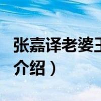 张嘉译老婆王海燕（关于张嘉译老婆王海燕的介绍）